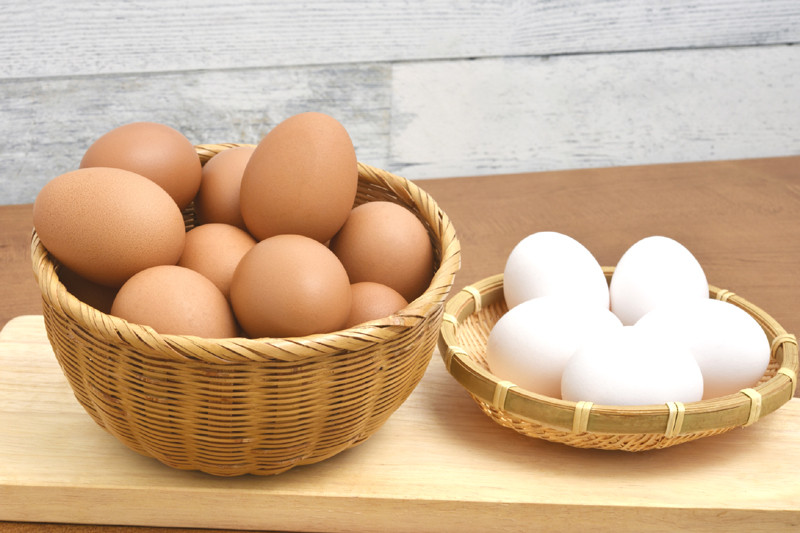 お菓子作りに向いている卵はありますか 赤い殻の卵と白い殻の卵の違い